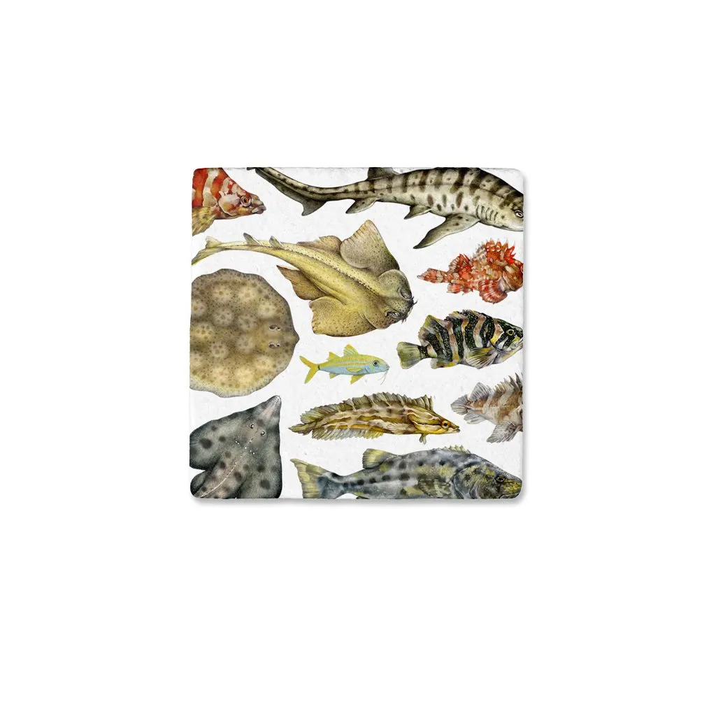 [CST-210] Fish of the Pacific Coasters