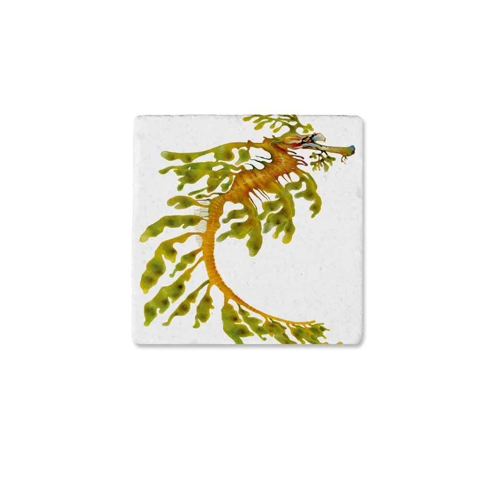 [CST-214] Leafy Seadragon Coasters