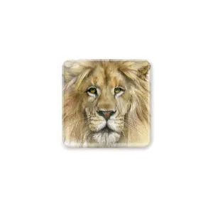 [CST-455] Lion Portrait Coasters