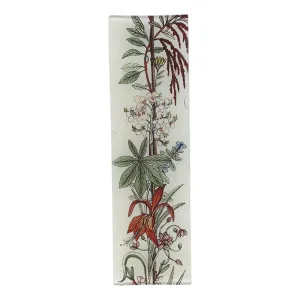 John Derian 'Amaryllis Vine' 3.5 x 12" Rectangle tray