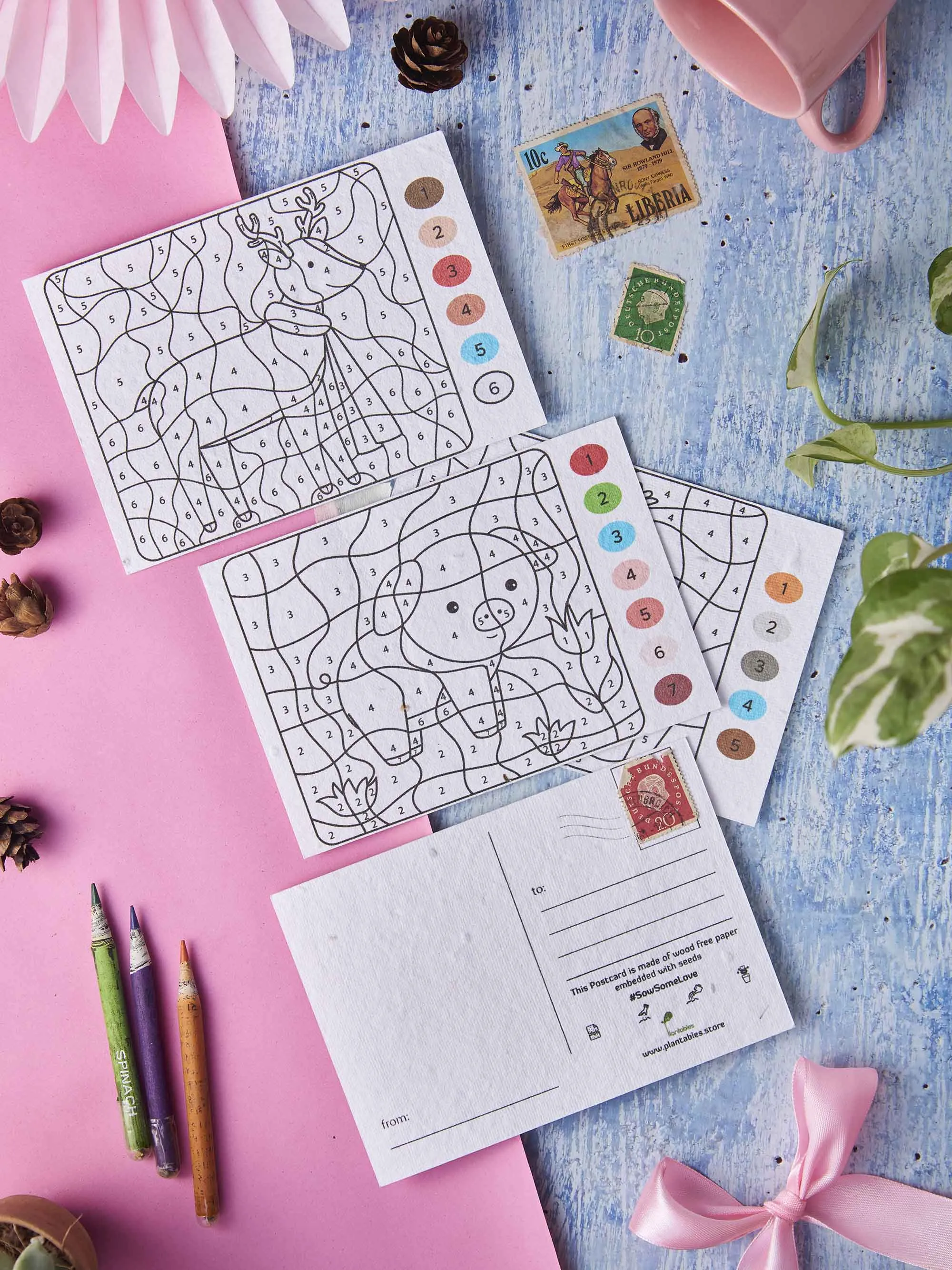 Plantables Junior Stationery Gift Kit